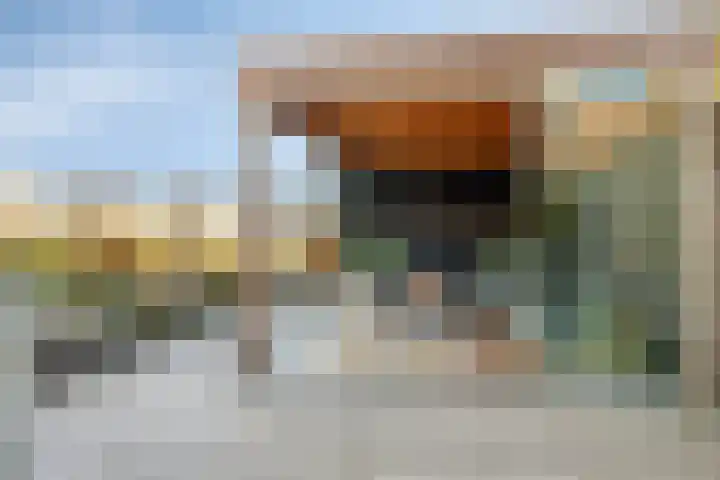 Erve Spikkert 23 Weerselo thumbnail 37