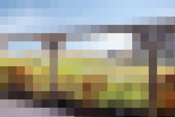 Erve Spikkert 23 Weerselo thumbnail 39