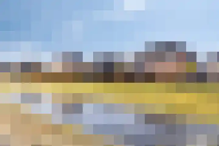 Erve Spikkert 23 Weerselo thumbnail 40