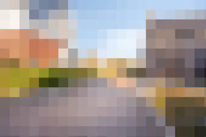 Erve Spikkert 23 Weerselo thumbnail 43