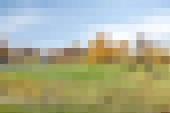 Erve Spikkert 23 Weerselo thumbnail 45