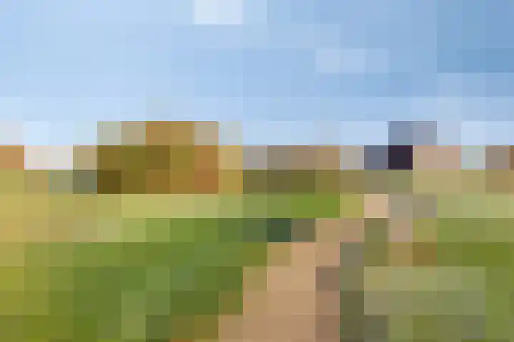 Erve Spikkert 23 Weerselo thumbnail 46