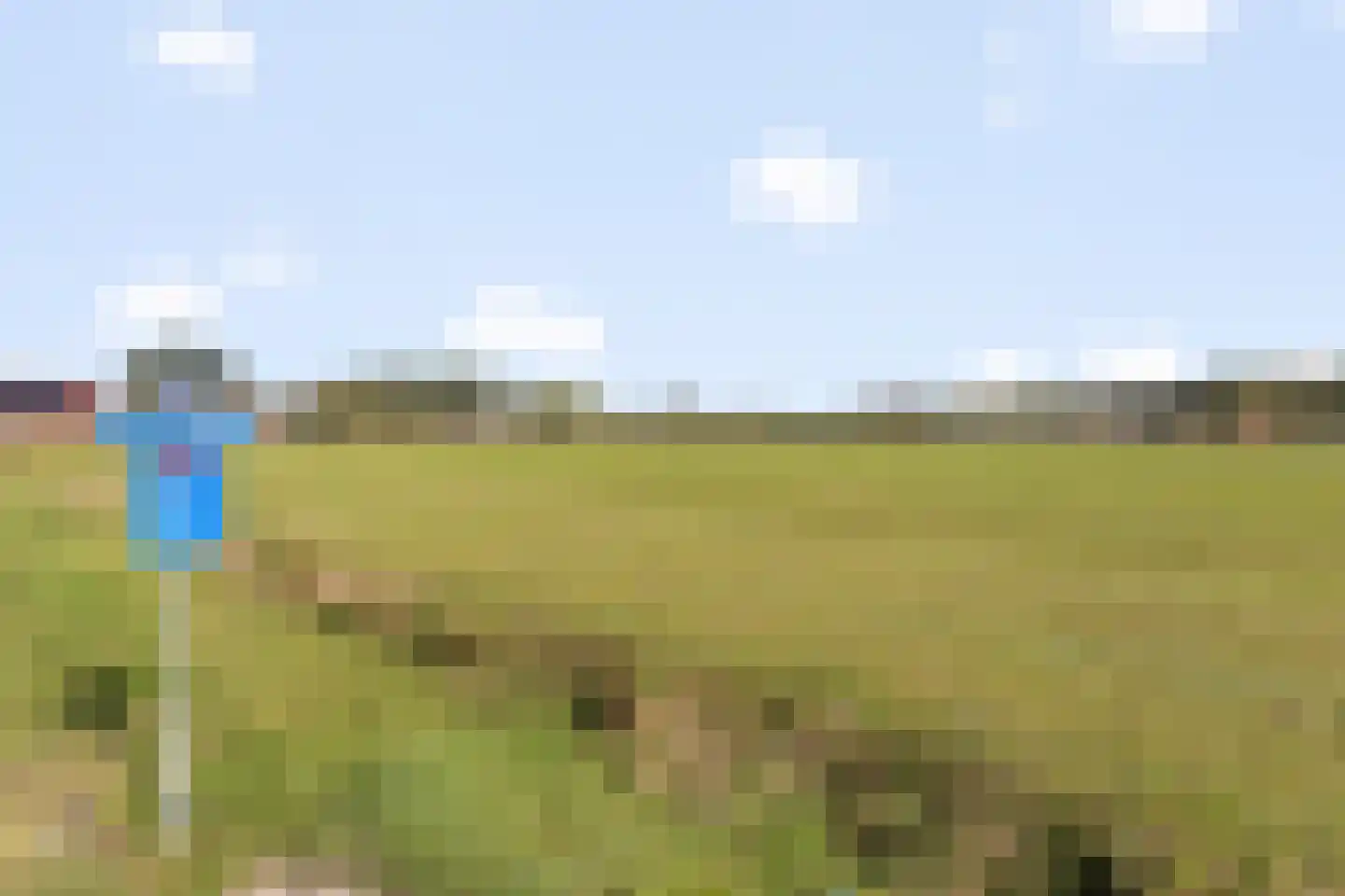 Erve Spikkert 45 Weerselo thumbnail 24