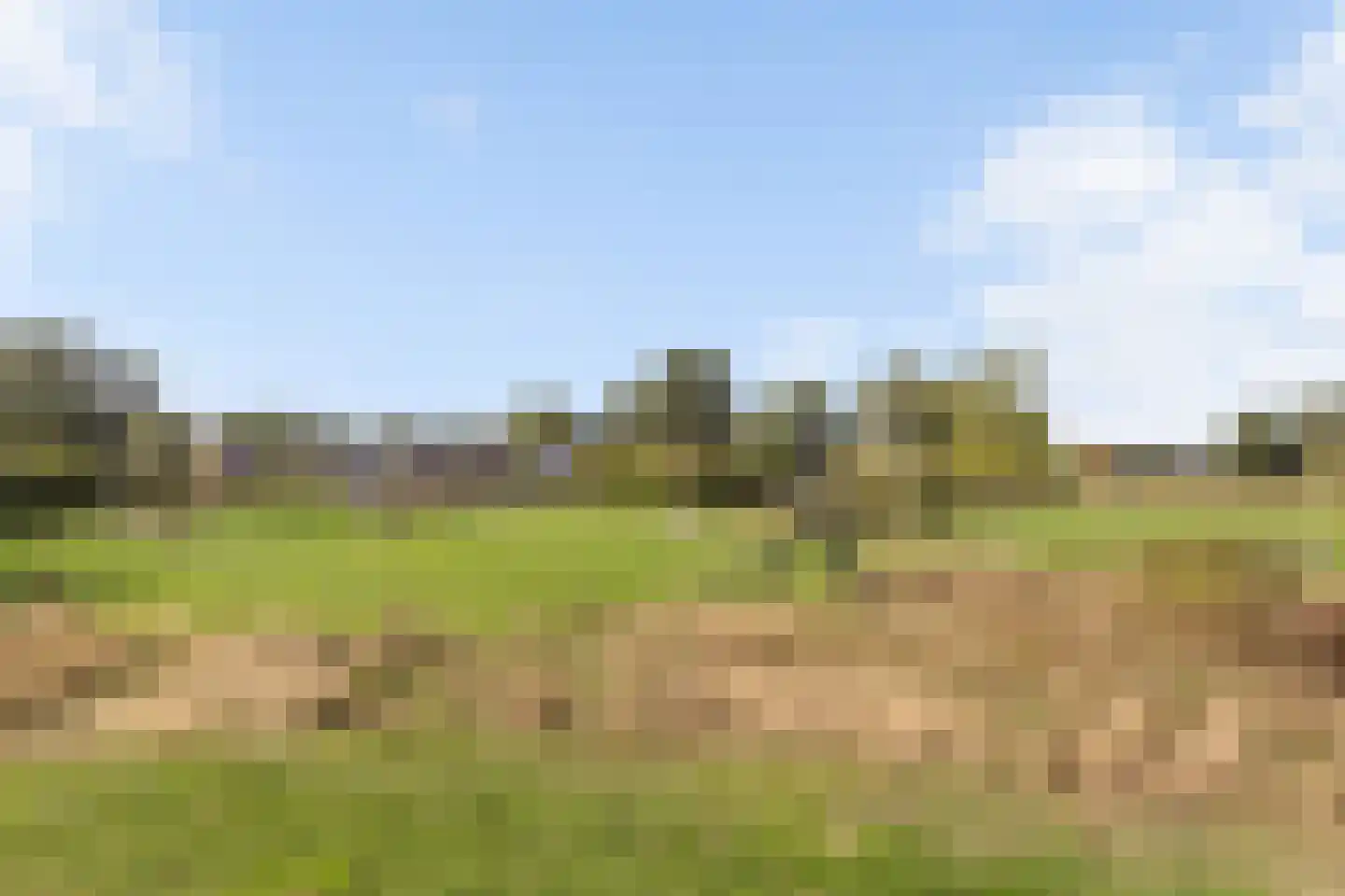 Erve Spikkert 45 Weerselo thumbnail 25