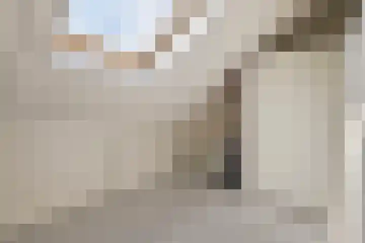 Erve Stegeman 21 Oldenzaal thumbnail 21