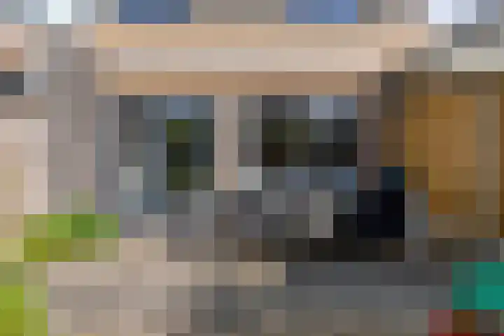 Erve Stegeman 21 Oldenzaal thumbnail 24