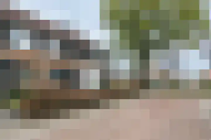 Erve Stegeman 27 Oldenzaal thumbnail 31