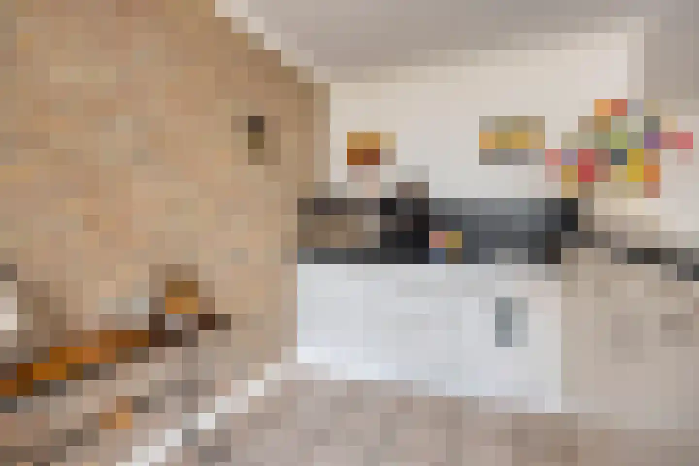 Erve Stroomboer 13 Borne thumbnail 20