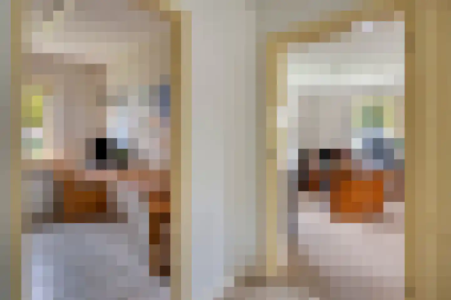 Erve Stroomboer 13 Borne thumbnail 27