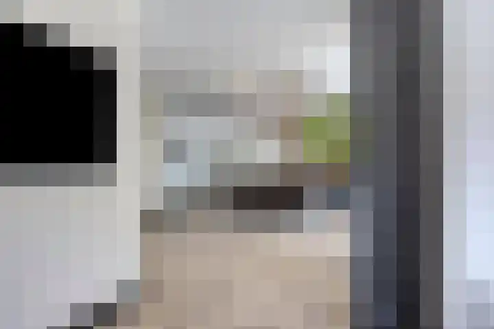 Erve Stroomboer 52 Borne thumbnail 10