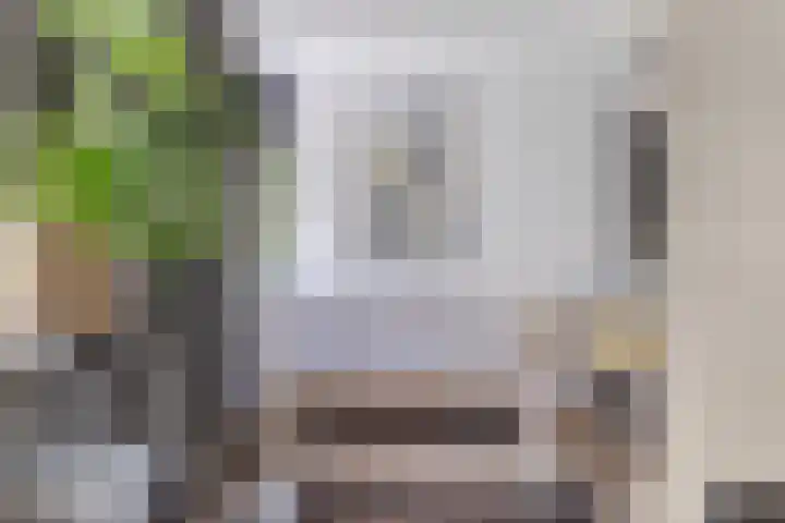 Erve Stroomboer 52 Borne thumbnail 11