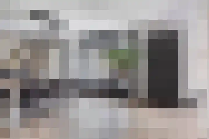 Erve Stroomboer 52 Borne thumbnail 12