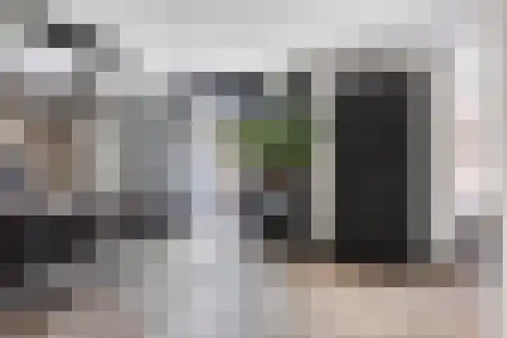 Erve Stroomboer 52 Borne thumbnail 13