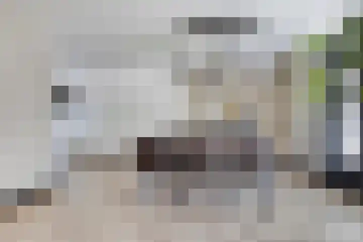 Erve Stroomboer 52 Borne thumbnail 14
