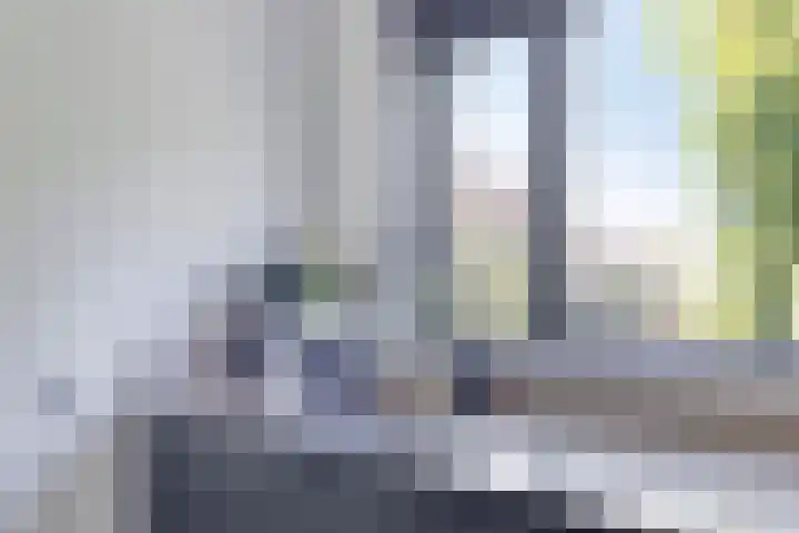 Erve Stroomboer 52 Borne thumbnail 18