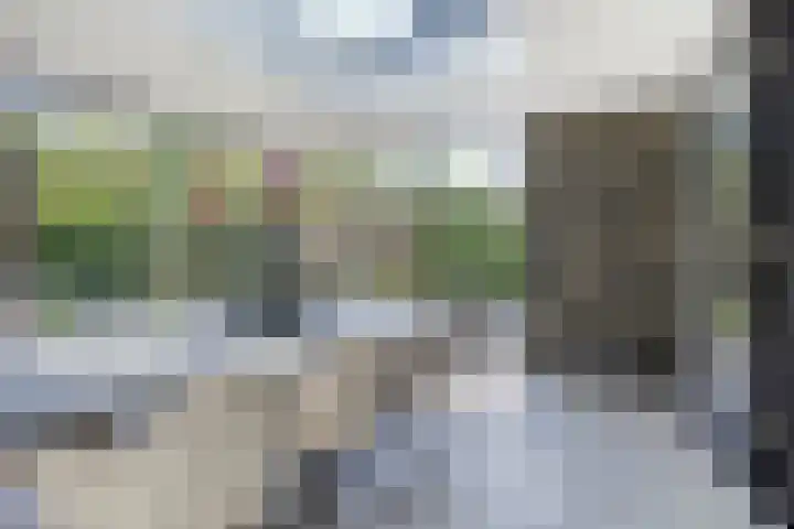 Erve Stroomboer 52 Borne thumbnail 19