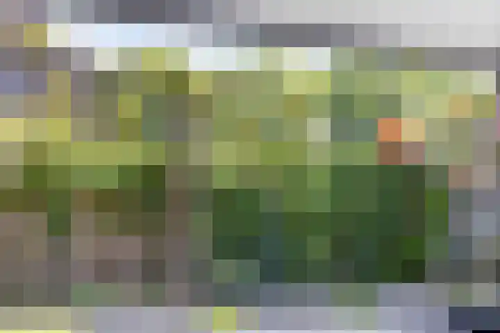 Erve Stroomboer 52 Borne thumbnail 20