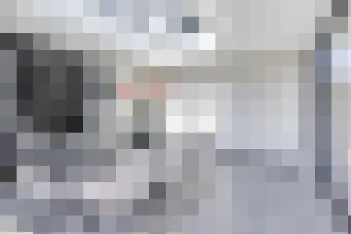 Erve Stroomboer 52 Borne thumbnail 21