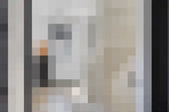 Erve Stroomboer 52 Borne thumbnail 24