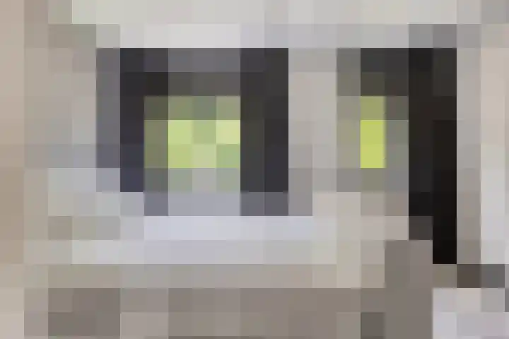 Erve Stroomboer 52 Borne thumbnail 26