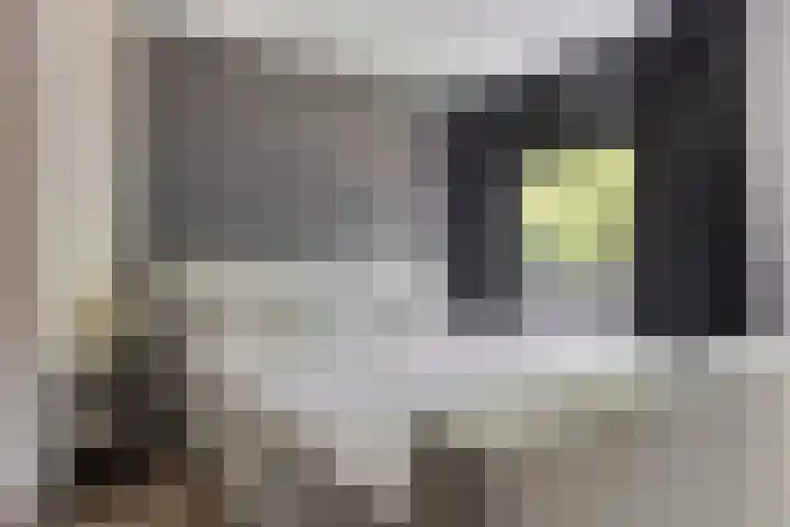 Erve Stroomboer 52 Borne thumbnail 27
