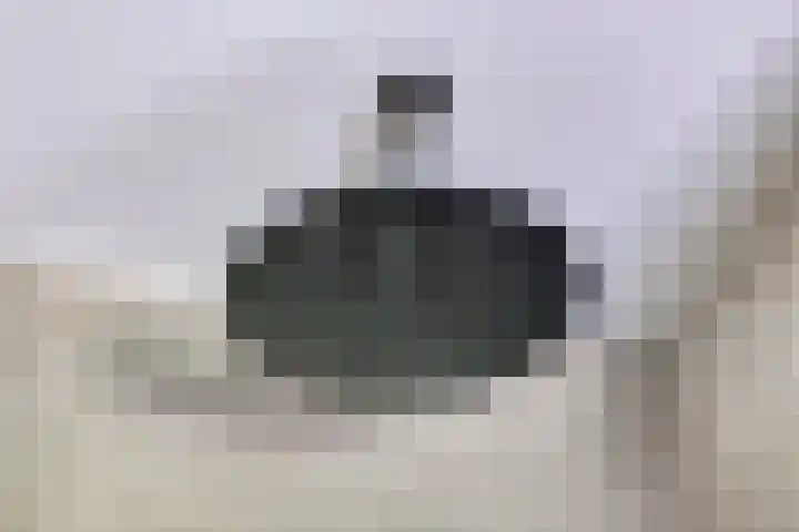 Erve Stroomboer 52 Borne thumbnail 31