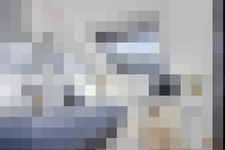 Erve Stroomboer 52 Borne thumbnail 37