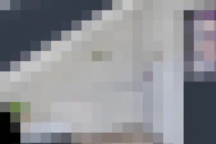 Erve Stroomboer 52 Borne thumbnail 38