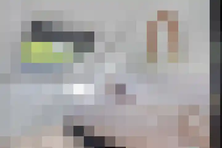 Erve Stroomboer 52 Borne thumbnail 39