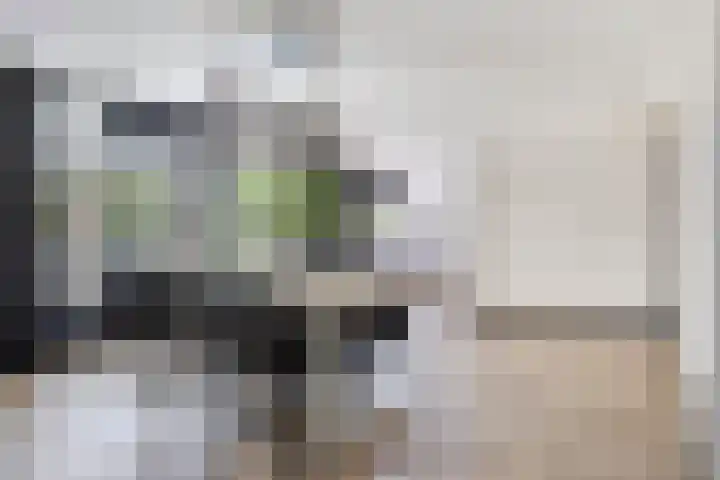 Erve Stroomboer 52 Borne thumbnail 4