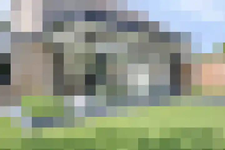 Erve Stroomboer 52 Borne thumbnail 40