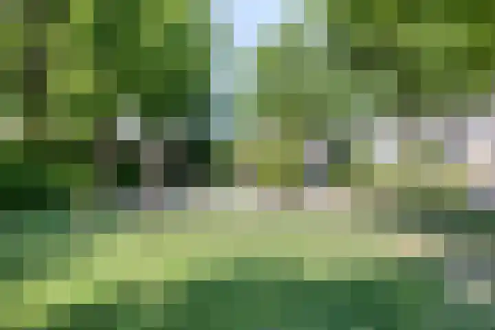 Erve Stroomboer 52 Borne thumbnail 41