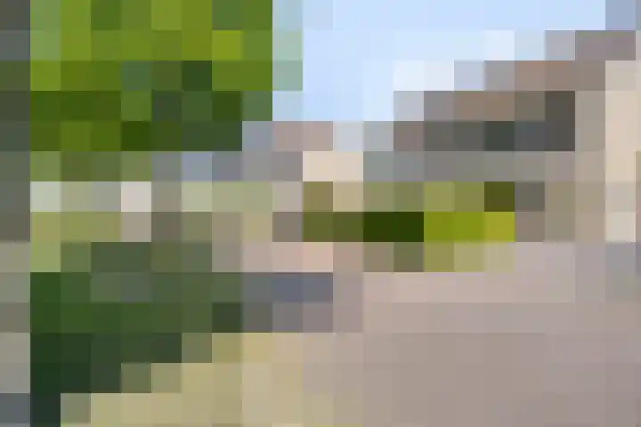 Erve Stroomboer 52 Borne thumbnail 42