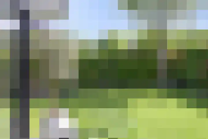 Erve Stroomboer 52 Borne thumbnail 6