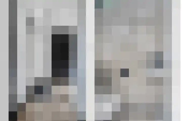 Erve Stroomboer 52 Borne thumbnail 8