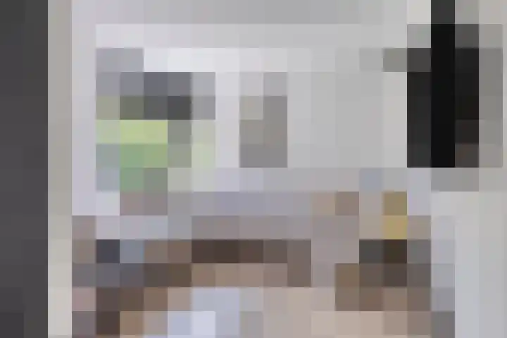 Erve Stroomboer 52 Borne thumbnail 9