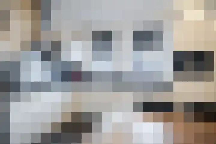 Erve 't Hag 11 Harreveld thumbnail 13