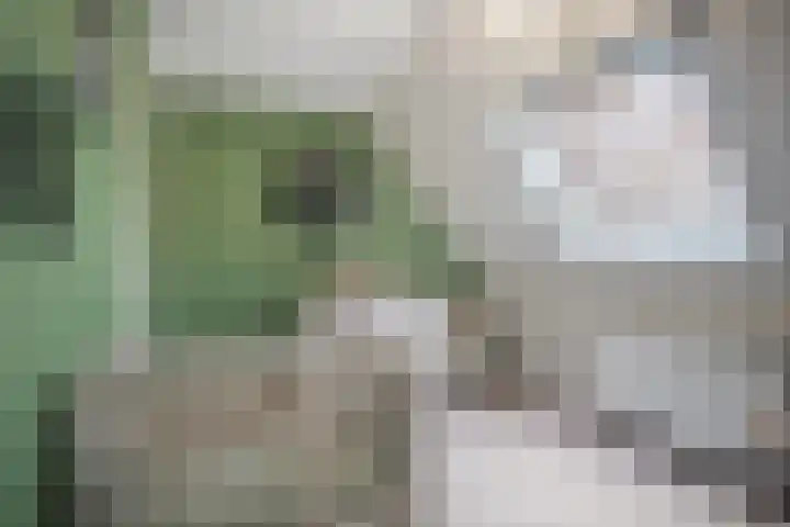 Erve 't Hag 11 Harreveld thumbnail 20