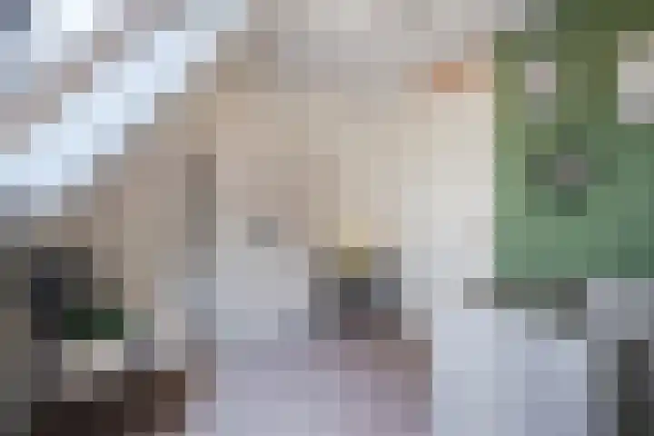 Erve 't Hag 11 Harreveld thumbnail 21