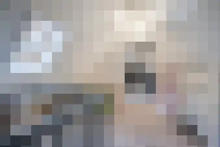 Erve 't Hag 11 Harreveld thumbnail 28