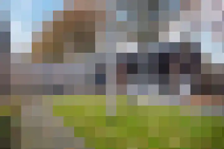 Erve 't Hag 11 Harreveld thumbnail 34