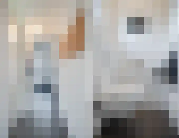 Erve 't Hag 11 Harreveld thumbnail 4