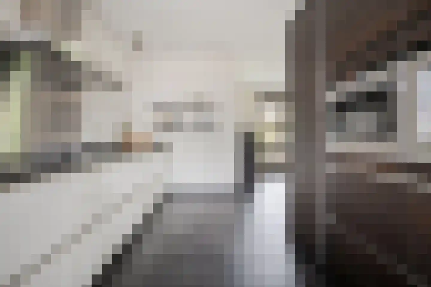 Erve 't Lochter 5 Nijverdal thumbnail 14