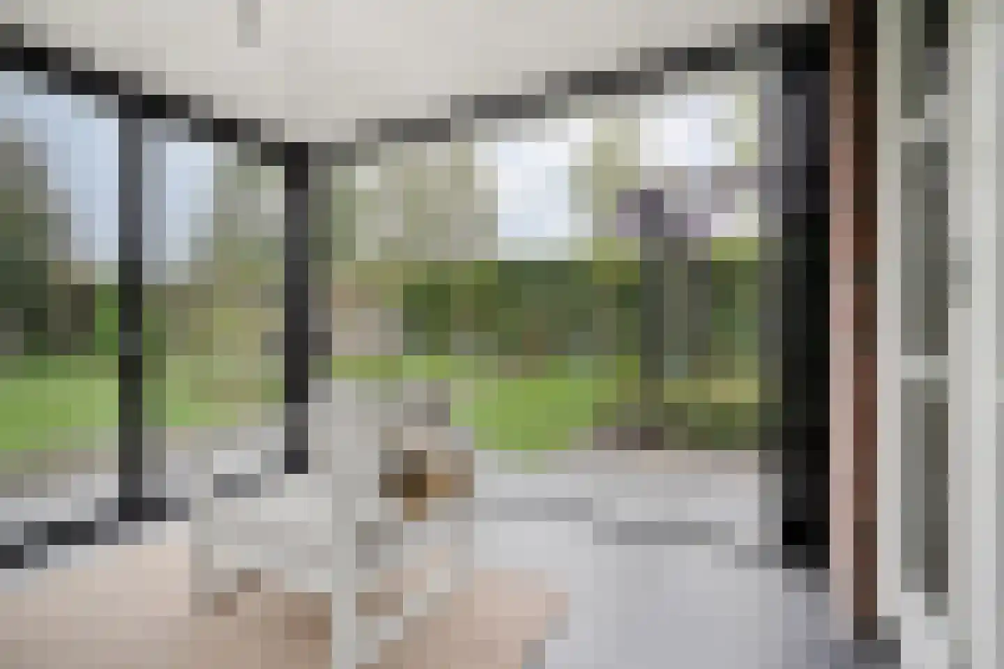 Erve 't Lochter 5 Nijverdal thumbnail 25