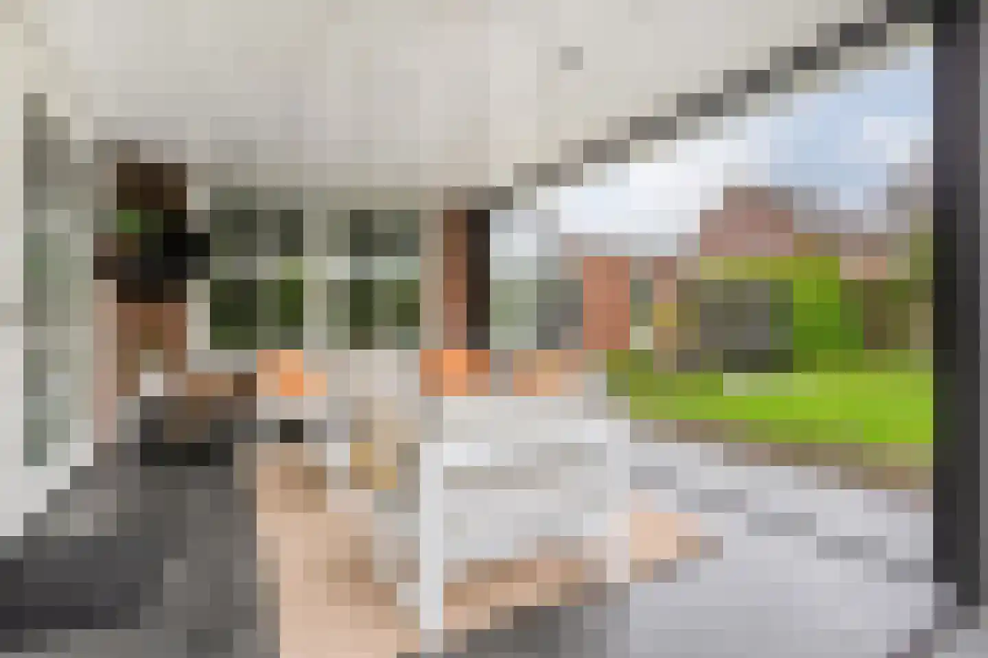 Erve 't Lochter 5 Nijverdal thumbnail 26