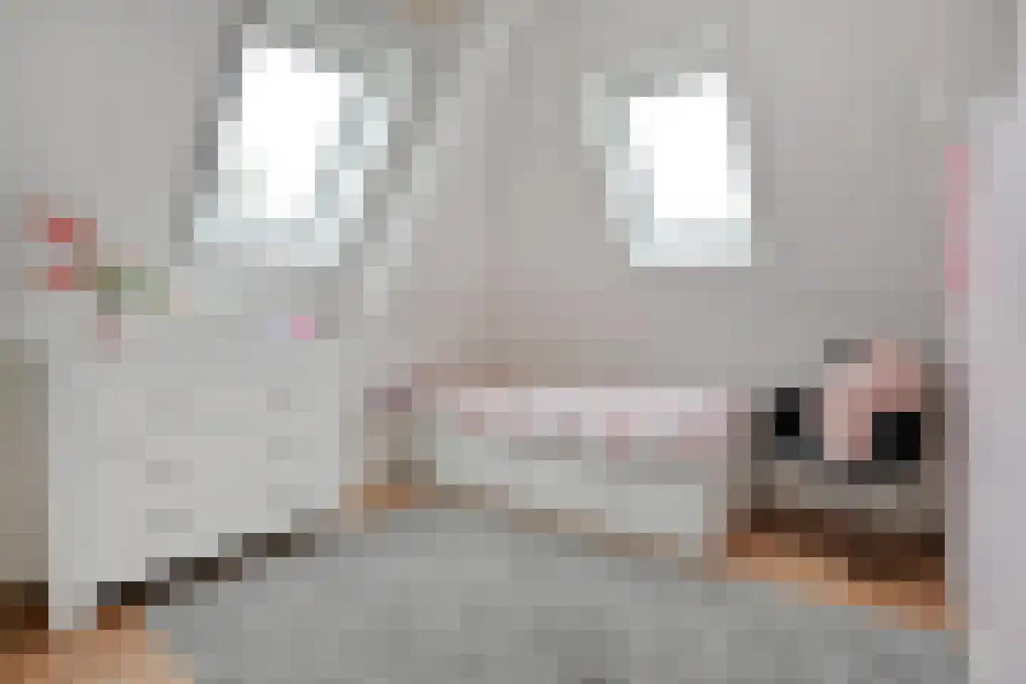 Erve 't Lochter 5 Nijverdal thumbnail 28
