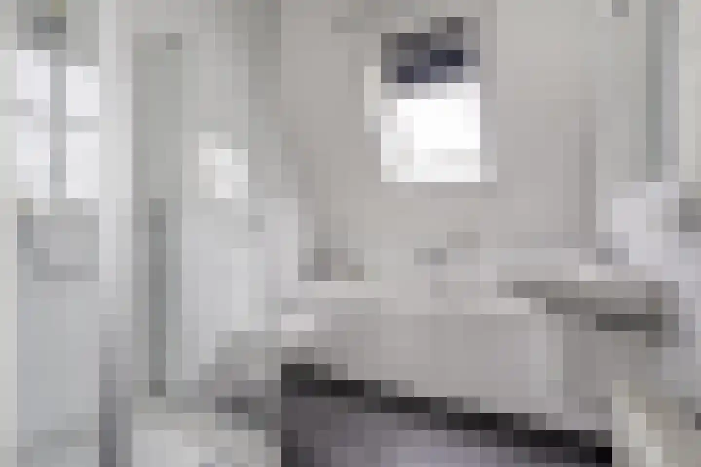 Erve 't Lochter 5 Nijverdal thumbnail 32