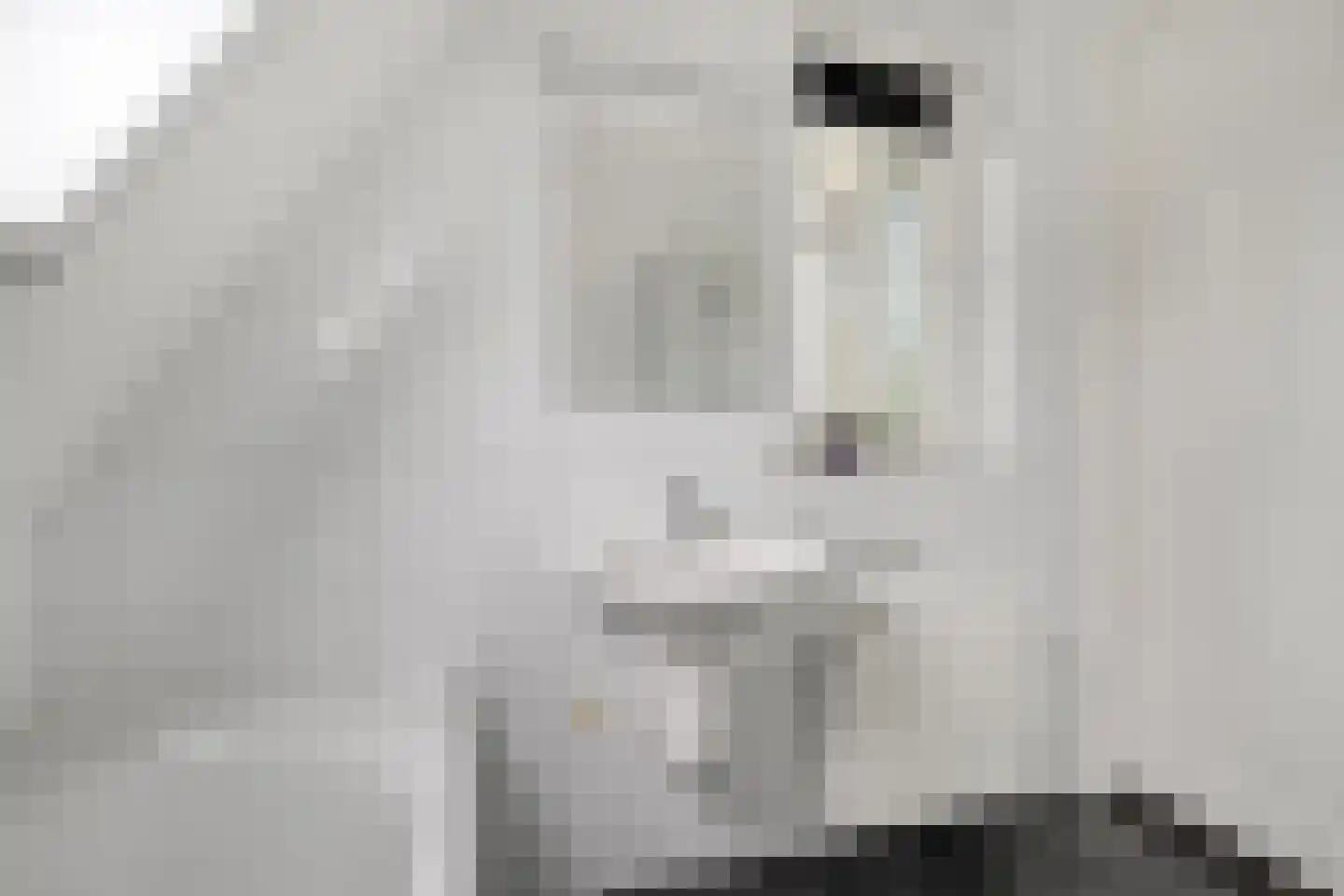 Erve 't Lochter 5 Nijverdal thumbnail 34