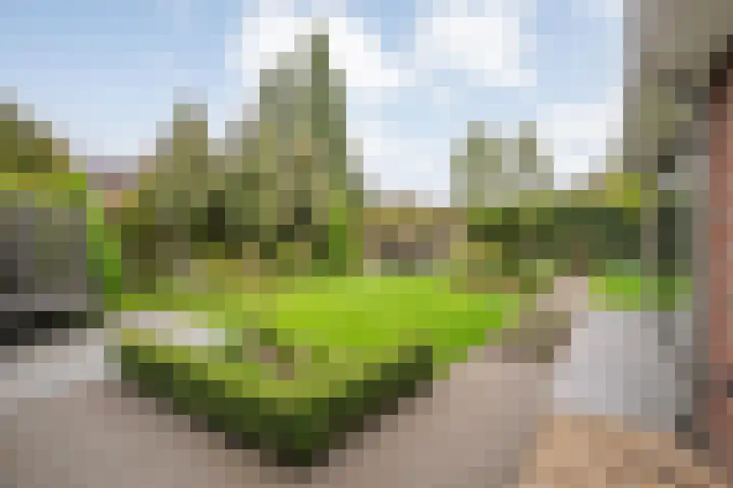 Erve 't Lochter 5 Nijverdal thumbnail 35