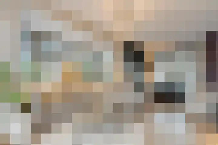 Erve Timmerman 12 Zenderen thumbnail 10
